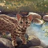 由 animatelove (刊登 ID 1385260795，圖片 1) 提交，位於 的 (類別：)，說明：。