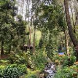 (Kategori: ) berada di . Dikirim oleh prelovedlovenew (ID iklan 1365381998, Gambar 1). Deskripsi: .