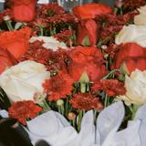 (Kategori: ) berada di . Dikirim oleh cleoart (ID iklan 1384351155, Gambar 1). Deskripsi: .