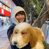 由 aksmccd (刊登 ID 1383666339，圖片 1) 提交，位於 的 (類別：)，說明：。