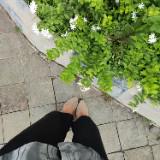 (Kategori: ) berada di . Dikirim oleh nikenayuar32687 (ID iklan 1341271690, Gambar 1). Deskripsi: .