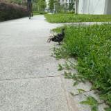 (Category: ) located in . Submitted by checkout123 (Listing ID 1438808667, Image 1). Description: .