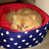 (Category: ) located in . Submitted by avvcot (Listing ID 1446673376, Image 1). Description: .