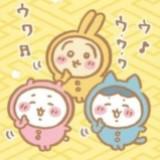 （分類：）位於 。 由 bbvipshop 提交（商品編號 1362708045，圖片 1）。簡介： 。