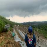 (Kategori: ) berada di . Dikirim oleh fian_h2h (ID iklan 1340077873, Gambar 1). Deskripsi: .