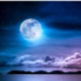 (Category: ) located in . Submitted by mooon007 (Listing ID 1333143039, Image 1). Description: .
