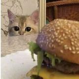 (Category: ) located in . Submitted by neooosg (Listing ID 1365000097, Image 1). Description: .