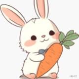 (Category: ) located in . Submitted by thecarrotsell (Listing ID 1381165496, Image 1). Description: .