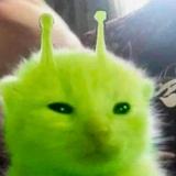 (Category: ) located in . Submitted by autumnz_archive (Listing ID 1379172343, Image 1). Description: .