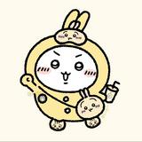（分類：）位於 。 由 cchan615 提交（商品編號 1338394996，圖片 1）。簡介： 。