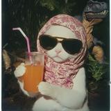 (Kategori: ) berada di . Dikirim oleh chickitycha (ID iklan 1370351038, Gambar 1). Deskripsi: .