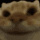 (Category: ) located in . Submitted by er.rnest (Listing ID 1372001652, Image 1). Description: .