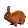 (Category: ) located in . Submitted by _thriftatbp (Listing ID 1353877097, Image 1). Description: .