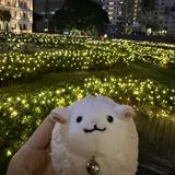 (分類:)位於 。 由 jd0216 提交(商品編號 1465660752,圖片 1)。簡介: 。