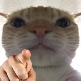 (Category: ) located in . Submitted by hoyshin4 (Listing ID 1373713294, Image 1). Description: .