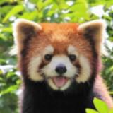 由 ctdog (刊登 ID 1340899160，圖片 1) 提交，位於 的 (類別：)，說明：。