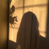 (Category: ) located in . Submitted by faith35 (Listing ID 1470042706, Image 1). Description: .