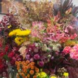 （分類：）位於 。 由 indumati 提交（商品編號 1357483216，圖片 1）。簡介： 。