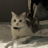 (Kategori: ) berada di . Dikirim oleh bymilopreloved (ID iklan 1379807236, Gambar 1). Deskripsi: .