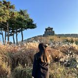 (Category: ) located in . Submitted by moonbingsu (Listing ID 1361162431, Image 1). Description: .