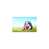 (Category: ) located in . Submitted by iloveocean90752 (Listing ID 1383190818, Image 1). Description: .
