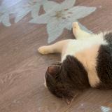 (Category: ) located in . Submitted by sherriejw (Listing ID 1377817987, Image 1). Description: .