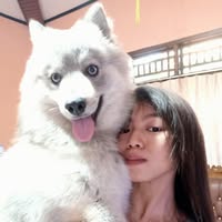 (Kategori: ) berada di . Dikirim oleh 4rachnia86674 (ID iklan 1385458430, Gambar 1). Deskripsi: .