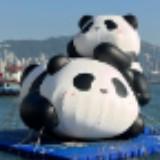 （分類：）位於 。 由 chillshoppinginhere2025 提交（商品編號 1384616606，圖片 1）。簡介： 。