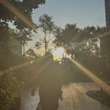 (Category: ) located in . Submitted by ciciany (Listing ID 1352663531, Image 1). Description: .