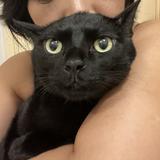 （分類：）位於 。 由 orange_cat1234 提交（商品編號 1269251959，圖片 1）。簡介： 。