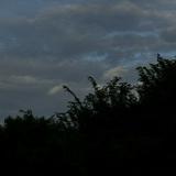 (Category: ) located in . Submitted by systemnottaken (Listing ID 1380611251, Image 1). Description: .