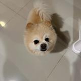 (Category: ) located in . Submitted by bananahotcake (Listing ID 1341549935, Image 1). Description: .