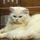 (Kategori: ) berada di . Dikirim oleh ichiboss (ID iklan 1294485736, Gambar 1). Deskripsi: .