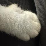 （分類：）位於 。 由 100gooddd 提交（商品編號 1341581868，圖片 1）。簡介： 。