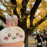 （分類：）位於 。 由 figarowww 提交（商品編號 1377583948，圖片 1）。簡介： 。