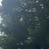 (Category: ) located in . Submitted by rsrzrcj (Listing ID 1365742570, Image 1). Description: .