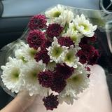 (Kategori: ) berada di . Dikirim oleh prelovedby.yasmine (ID iklan 1330542369, Gambar 1). Deskripsi: .