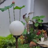 (Kategori: ) berada di . Dikirim oleh prelovedeku (ID iklan 1349237826, Gambar 1). Deskripsi: .