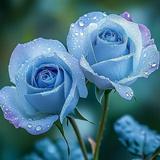 （分類：）位於 。 由 sarinnasss 提交（商品編號 1368569142，圖片 1）。簡介： 。