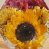 (Category: ) located in . Submitted by medp001 (Listing ID 1375730707, Image 1). Description: .