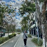 (分類:)位於 。 由 fathangfat 提交(商品編號 1341867564,圖片 1)。簡介: 。