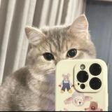 (Kategori: ) berada di . Dikirim oleh cute.me0609 (ID iklan 1360357780, Gambar 1). Deskripsi: .