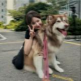 由 love_tc3ry (刊登 ID 1369467137，圖片 1) 提交，位於 的 (類別：)，說明：。