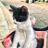 (Category: ) located in . Submitted by nurzaqyra (Listing ID 1373712037, Image 1). Description: .
