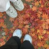 (Kategori: ) berada di . Dikirim oleh prelovedstufffff_ (ID iklan 1336297188, Gambar 1). Deskripsi: .