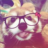 （分類：）位於 。 由 thrifty_with_kitty07. 提交（商品編號 1340556583，圖片 1）。簡介： 。