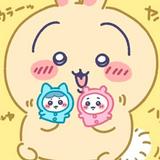 (分類:)位於 。 由 yycyycc 提交(商品編號 1341843074,圖片 1)。簡介: 。
