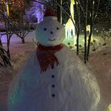 (Category: ) located in . Submitted by aezyy123 (Listing ID 1342798205, Image 1). Description: .