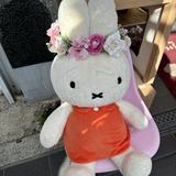 （分類：）位於 。 由 yoyo_miumiu 提交（商品編號 1346671248，圖片 1）。簡介： 。