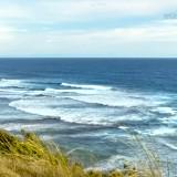 (Category: ) located in . Submitted by oceanwonders (Listing ID 1367194101, Image 1). Description: .